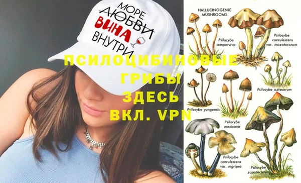 сатива Алексеевка