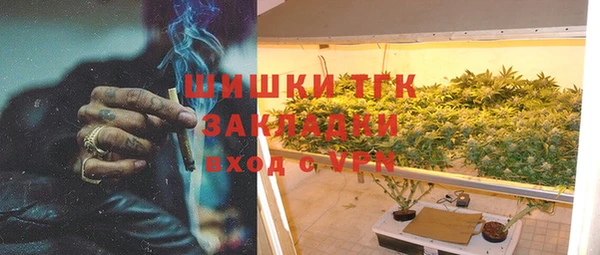 соль ск Алексин
