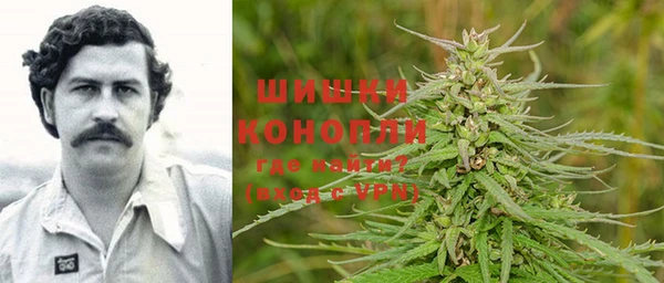 винт Алзамай