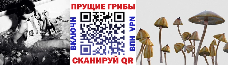 Галлюциногенные грибы MAGIC MUSHROOMS  Липки 
